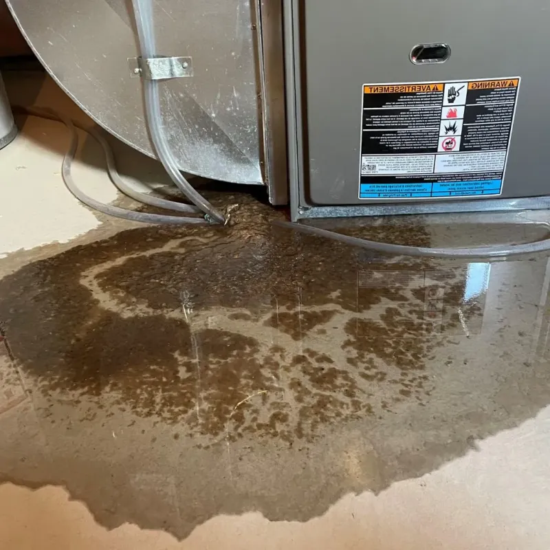 Pipe Burst and Leak Restoration in Fairbanks, AK